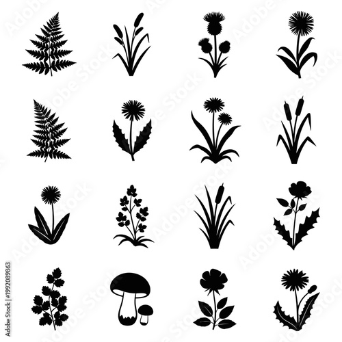 Various plants and flowers are depicted in silhouette against a white background with ferns dandelions mushrooms and other foliage prominently displayed.