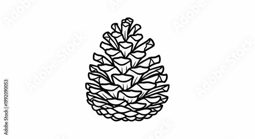 Stylized black and white outline drawing of a pine cone