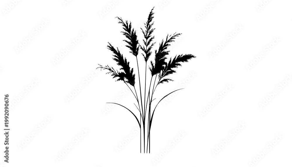 Naklejka premium wheat ears isolated on white