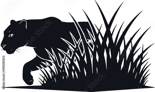 Black panther walking in tall grass silhouetted on transparent background.