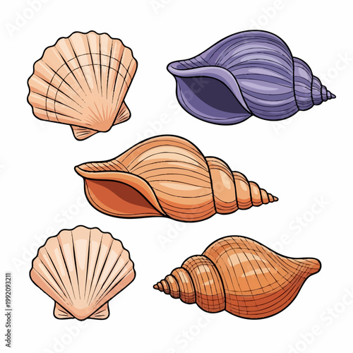 Beach Shell Collection Sticker Set