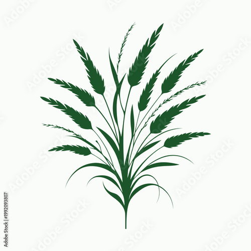 Fresh green cannabis plant with herbal leaves and a branch of hemp isolated on a white background for botany, medicine, and nature