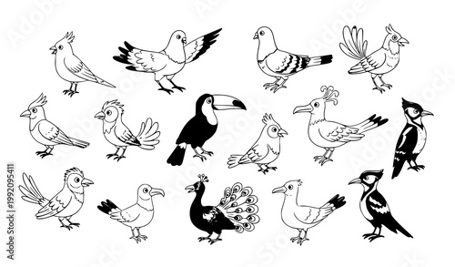 Hand drawn cartoon birds vector collection with pastel colors and unique bird characters in playful poses