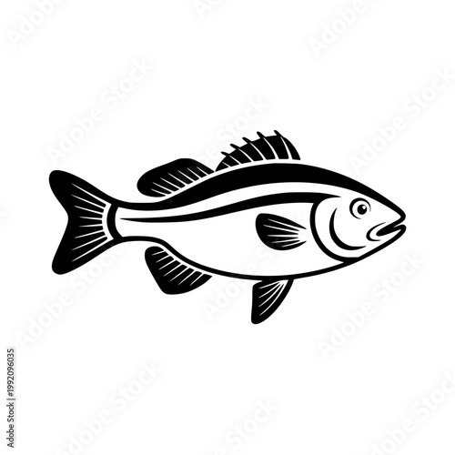 Clean black and white vector illustration of a stylized fish showing elegant linework perfect for minimalist branding logo designs or maritime themed projects for your professional agency