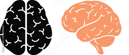 Human brain illustration set with creative and analytical concept design elements