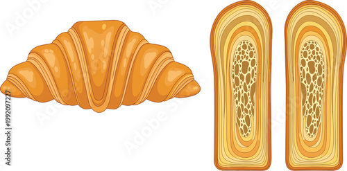 Croissant Pastry Illustration with Whole and Cut Sections Showing Layers for Bakery Food Design and Breakfast Vector Graphic Collection