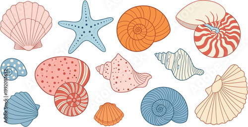 Collection of hand drawn seashell vectors starfish and nautilus illustrations in pastel colors isolated on a white background