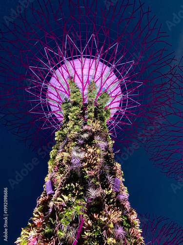 Singapore - August 05, 2019: Single Illuminated Supertree at Gardens by the Bay Glowing Brilliantly at Night