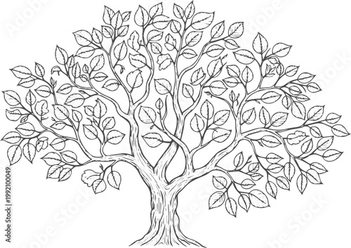 Black and white of a leafy tree leaves branches