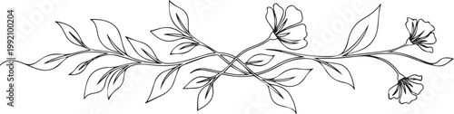Black and white outline floral swirl with leaves