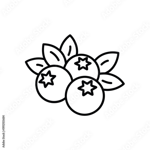 Simple line drawing of a cluster of blueberries with leaves