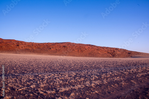 Golden dunes rise like waves frozen in time, stretching endlessly under a sky painted with soft pastels, where solitude and silence reveal the raw soul of Namibia’s desert