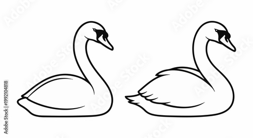 Two elegant black and white swans depicted side-by-side on a white background