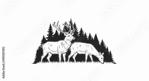Two deer stand in a forest clearing with pine trees behind them