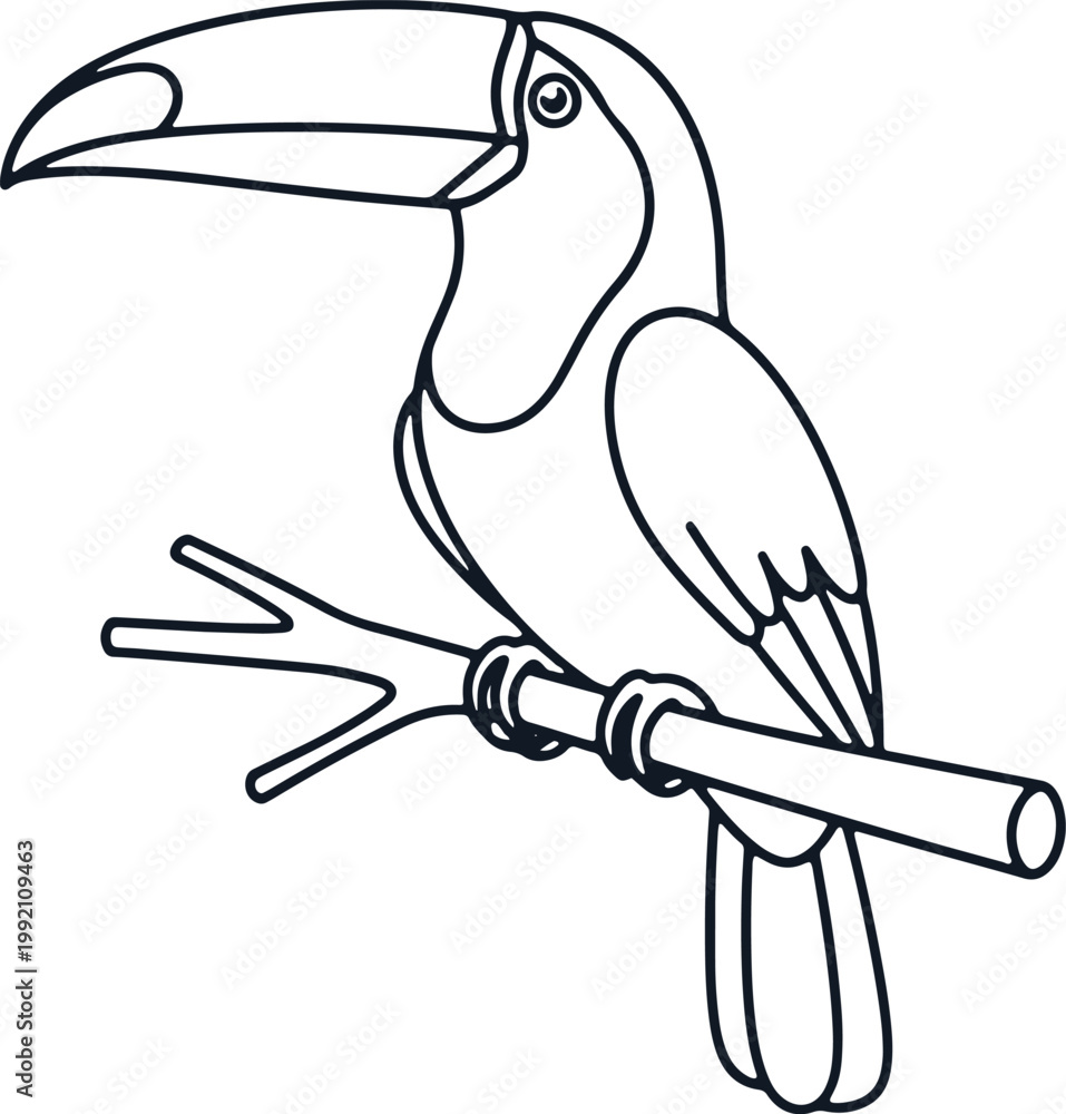 Fototapeta premium Toucan bird on branch line art vector illustration.