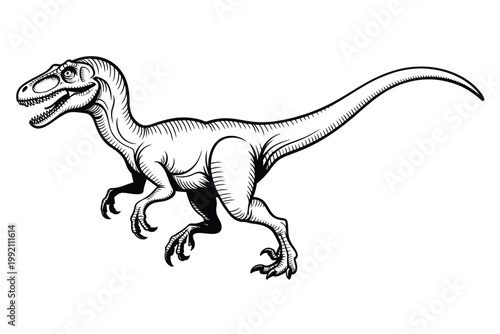 A detailed black and white illustration of a velociraptor dinosaur