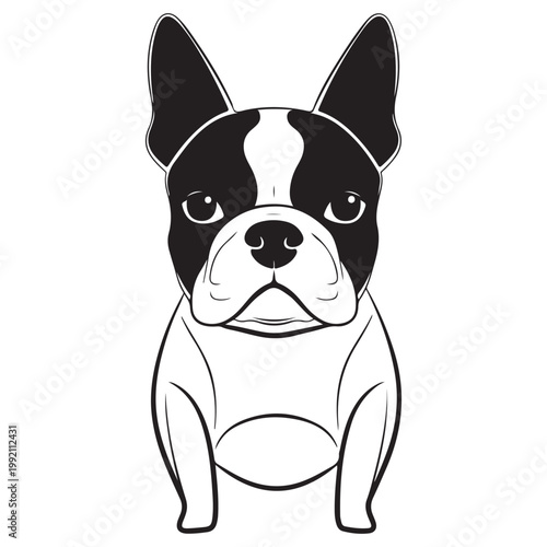 French bulldog sitting front view vector illustration minimalist black and white line art for pet branding