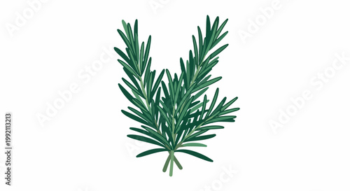 A simple illustration of a sprig of green rosemary
