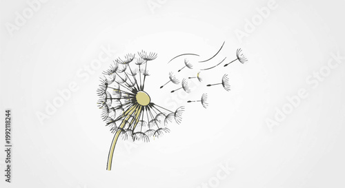 A sketch of a dandelion with seeds blowing away in the wind