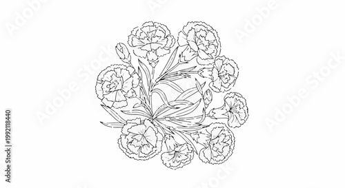 A sketch of carnation flowers and buds arranged in a circular floral design