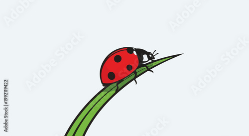A red ladybug with black spots rests on a green blade of grass against a white background