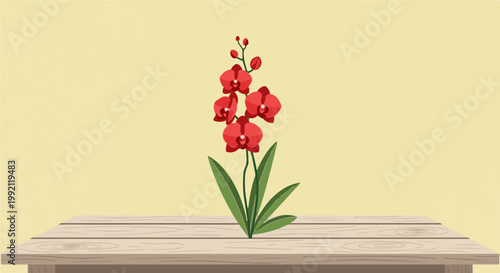 A red orchid blooms on a rustic wooden surface against a pale yellow background