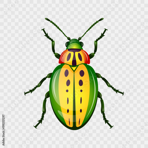 Colourful green and yellow bug with black spots isolated  on transparent background. Realistic beetle with gradient texture. Top-down illustration. Vibrant insect. Macro detailed view. Vector 