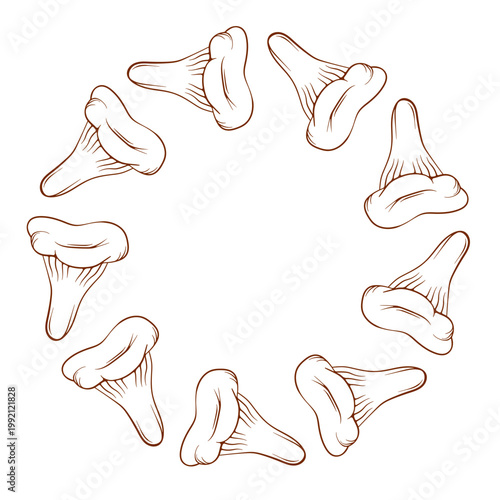 Wreath of hand drawn style niscalo mushroom, edible fungi in circle frame with copy space for design. Food ingredient concept illustration.