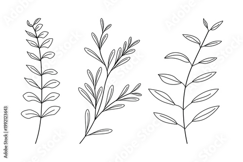 Handdrawn abstract natural leafs botnical design, art floral elements, Hand made natural leafs