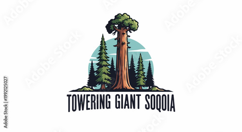 Stylized illustration of a towering redwood tree surrounded by smaller evergreen trees and a pale blue sky