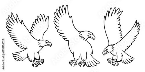 Bald eagle illustration set flying bird of prey American symbol detailed wings spread silhouettes