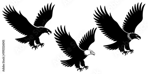 Bald eagle illustration set flying bird of prey American symbol detailed wings spread silhouettes