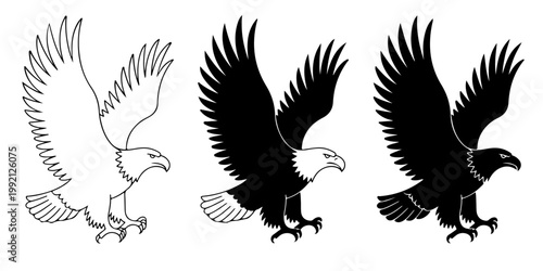 Bald eagle illustration set flying bird of prey American symbol detailed wings spread silhouettes