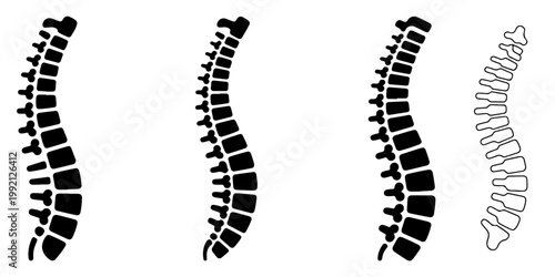 Human spine anatomy silhouettes set vertebral column medical illustration different styles black and white