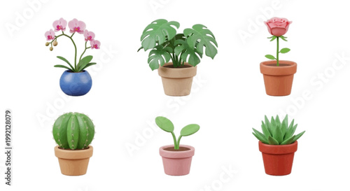 Vector illustration of collection of various potted houseplants on a transparent background