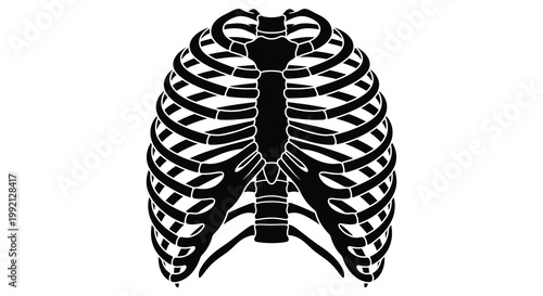 Detailed illustration of a human ribcage in stark black silhouette
