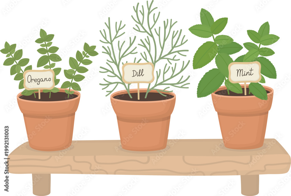 Obraz premium Illustration of potted herbs on wooden shelf. Fresh green oregano, dill and mint growing in pots 