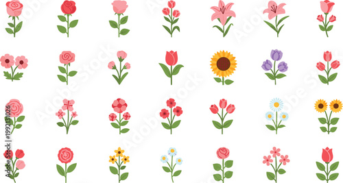 Beautiful garden flowers like roses and tulips vector illustration pack for design