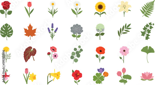 realistic botanical illustrations of diverse flowers plants and leaves