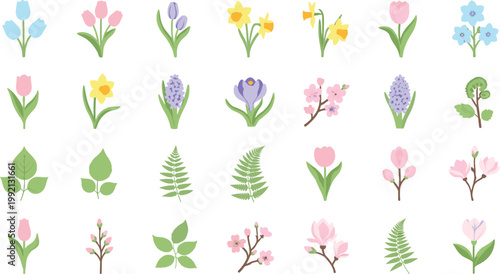 Spring blooming flowers and green leaves on white background vector illustration set