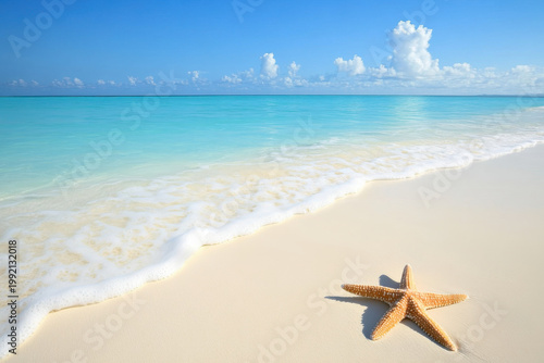 Starfish resting on idyllic white sand beach with turquoise water and blue sky