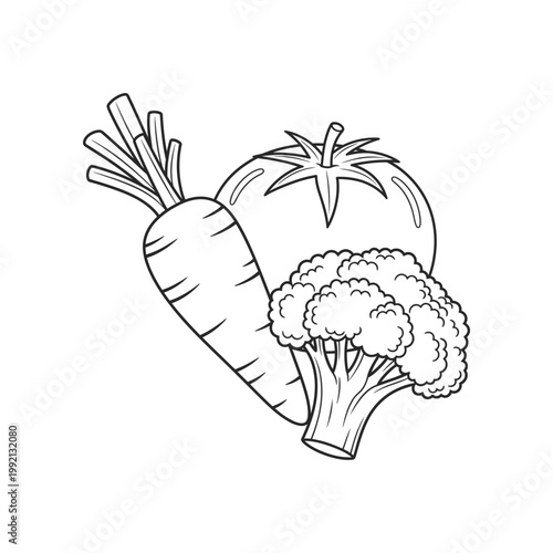 Fresh carrot and broccoli with tomato vegetable line art illustration for healthy nutrition concept