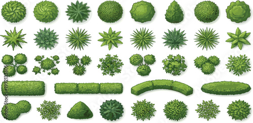 Collection of various top-view plants and trees for landscape design and architectural visualization