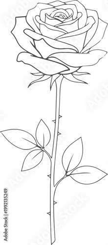 Black and white line of a single rose flower