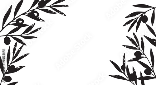 Black olive branches with leaves on white background