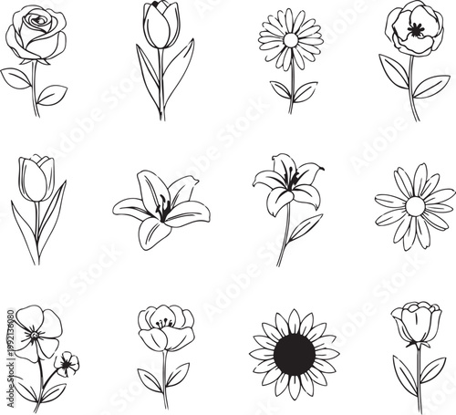 Collection of black and white line flower