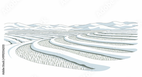 Terraced fields covered in snow, with mountains in the background