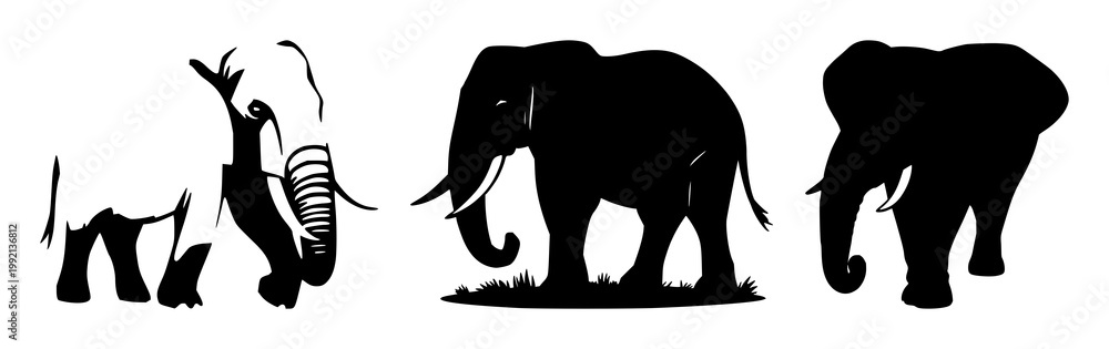 Fototapeta premium Solid black icon, white background: wildlife conservation elephant set with simple line art design featuring line art, illustrations, graphic resources with vector and design elements