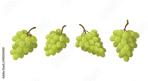 Four clusters of succulent green grapes with brown stems are displayed in a row against a minimalist white background with lime hues and soft shadows for a fresh look.