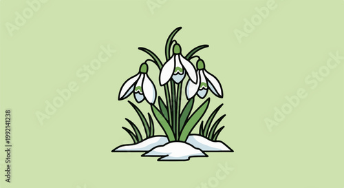 Stylized illustration of three snowdrops emerging from snow and grass